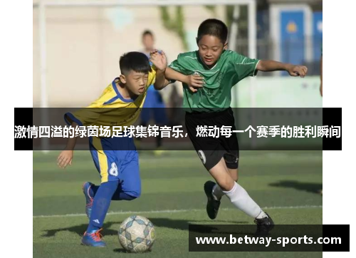 激情四溢的绿茵场足球集锦音乐，燃动每一个赛季的胜利瞬间