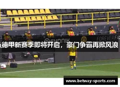 德甲新赛季即将开启，豪门争霸再掀风浪