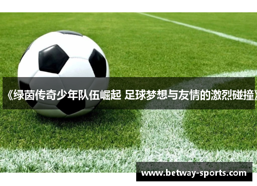 《绿茵传奇少年队伍崛起 足球梦想与友情的激烈碰撞》