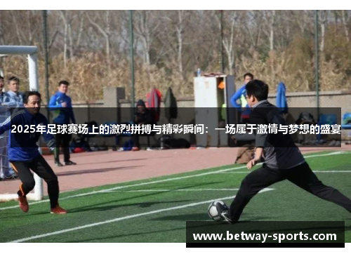 2025年足球赛场上的激烈拼搏与精彩瞬间：一场属于激情与梦想的盛宴