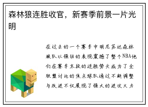 森林狼连胜收官，新赛季前景一片光明
