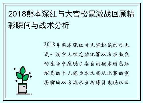 2018熊本深红与大宫松鼠激战回顾精彩瞬间与战术分析